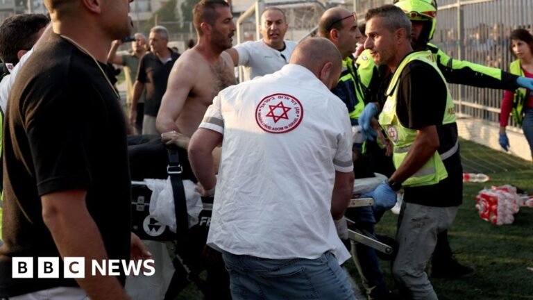 012c40b0 4c40 11ef B2d2 Cdb23d5d7c5b.jpg