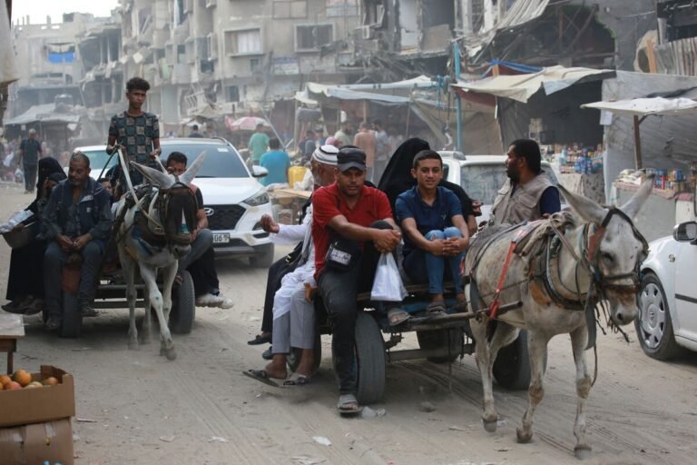 1721657660 1200x800.jpg