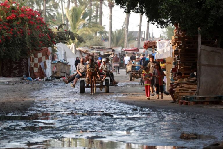 2fb6e41 5125015 01 06.jpg