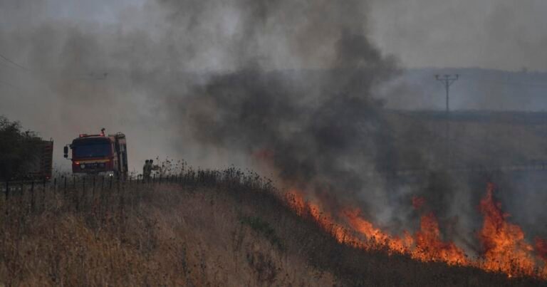 66868a9056fc4.image .jpg