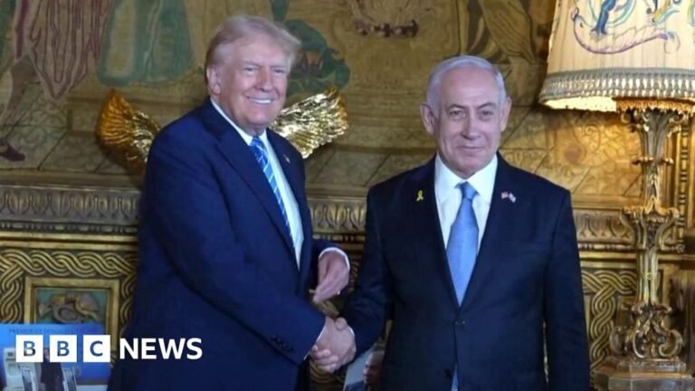 9aac8380 4b87 11ef B2d2 Cdb23d5d7c5b.jpg