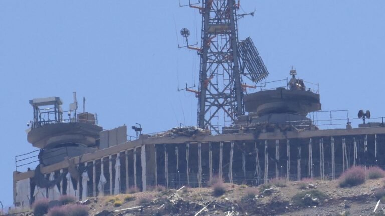 Ap Hezbollah 070324.jpeg