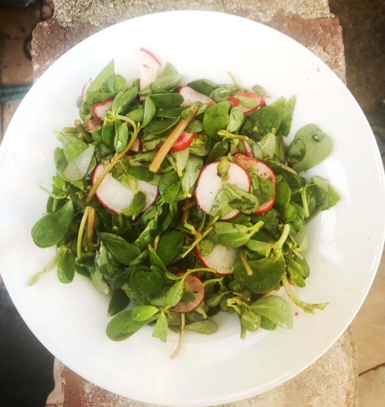 האם יהודי יכול לבשל אוכל פלסטיני בלי לקבל כל פוליטיקה? -הפורוורד Img 0407 Scaled.jpeg