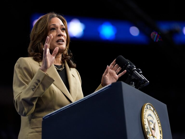 Ap24223110806704 1723272534.jpg