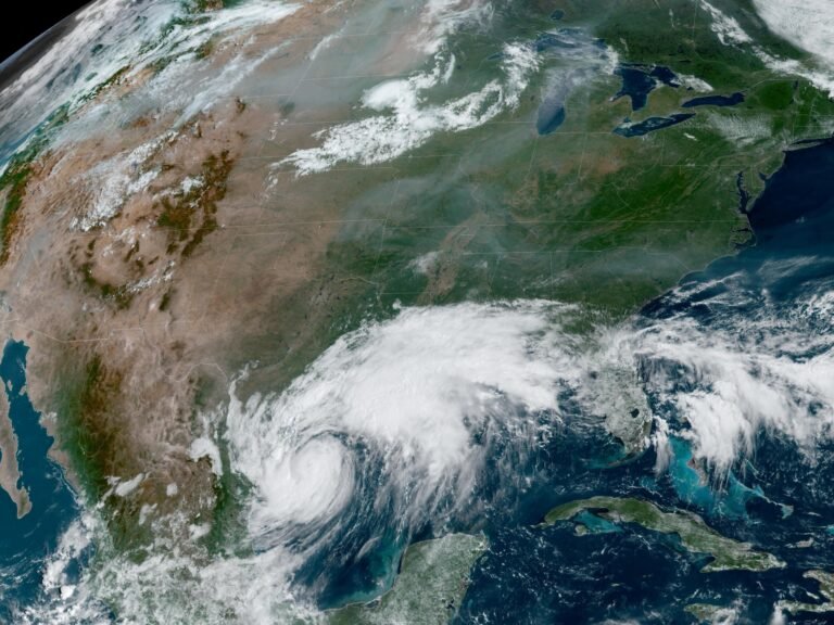 2024 09 10t154233z 533694717 Rc2kx9aissy6 Rtrmadp 3 Storm Francine 1725992035.jpg