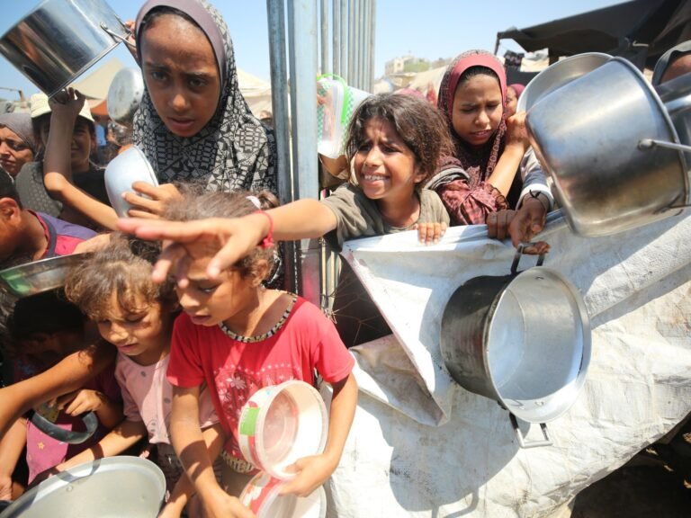 Aa 20240825 35480621 35480612 Food Distributed To Displaced Palestinians In Gaza 1724588243.jpg