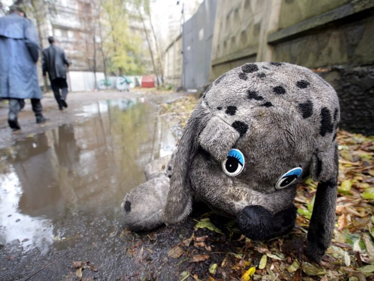 Afp 20051031 Par443393 V1003 Highres Russiasocialchildren 1726575800.jpg