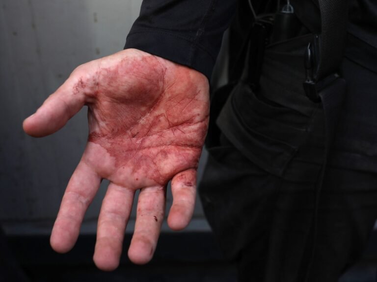 הפרקליטים דורשים צדק לאחר שהפגין אמריקאי נהרג בירי ישראלי | חדשות ג'ו ביידן Afp 20240906 36fm8r7 V2 Highres Palestinianusturkeyisraelconflict 1 1725647459.jpg