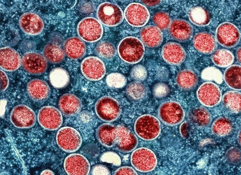 Ap23144753871232 1719575316.jpg