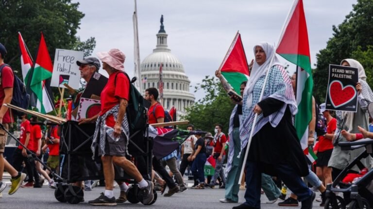 12387310 1721882176.jpg