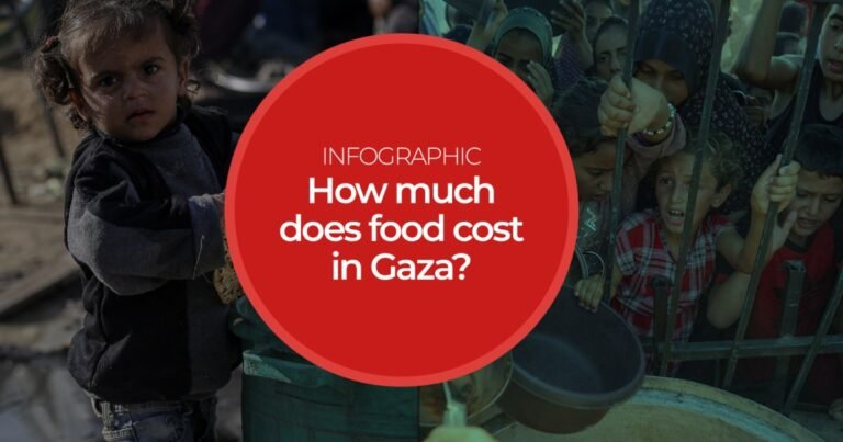 Interactive Gaza Foodprices 3 07 1729062600.jpg