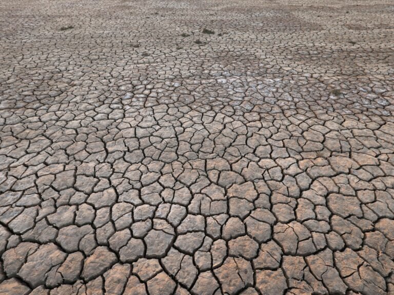 2022 11 14t091800z 327583856 Rc23zw9oztq8 Rtrmadp 3 Climate Un Mideast Water.jpg