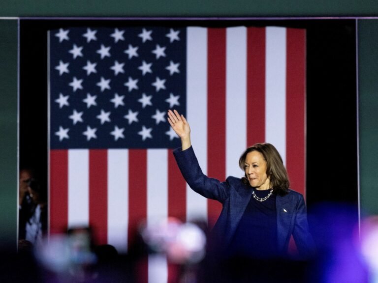 2024 11 10t111916z 2048574693 Rc2yxaalrxuw Rtrmadp 3 Usa Election Harris Michigan 1731581109.jpg