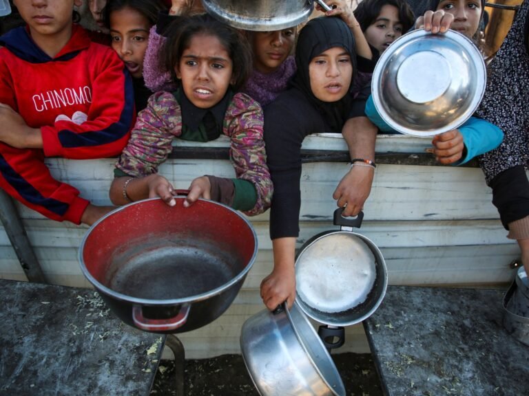 לפחות 42 פלסטינים נהרגו בזמן שישראל הגבירה את ההפצצות במרכז עזה | חדשות סכסוך ישראל-פלסטין 2024 11 19t114247z 1694232001 Rc2b8balwrv0 Rtrmadp 3 Israel Palestinians Gaza Aid 1732017208.jpg