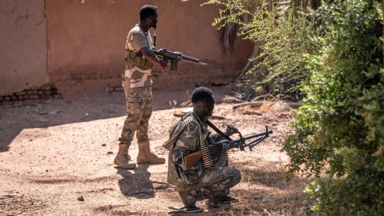 Image 1731866220.jpg