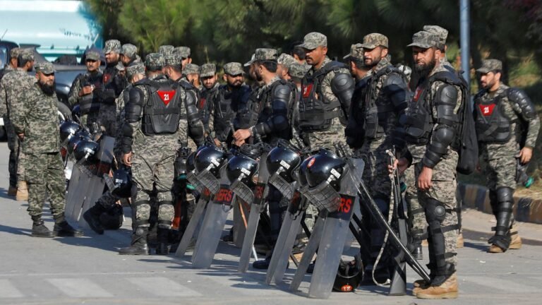 Image 1732552000.jpg