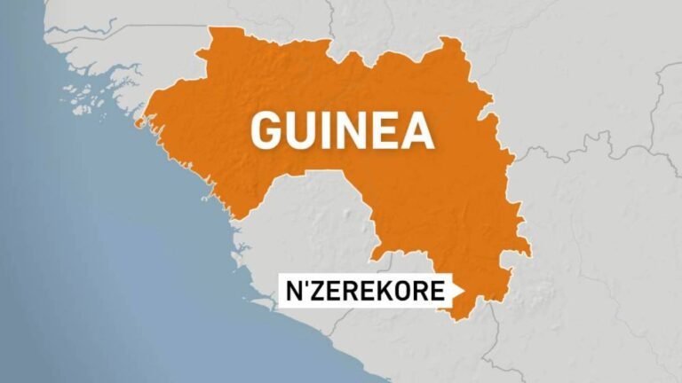 1000562 Nzerekore Guinea Map 1733126149.jpg