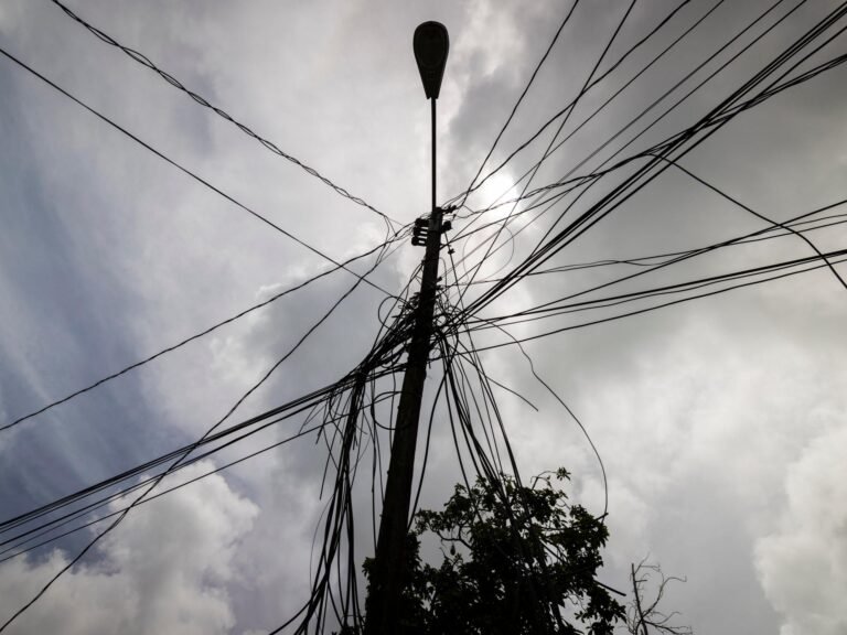 Ap24366443022086 1735663087.jpg