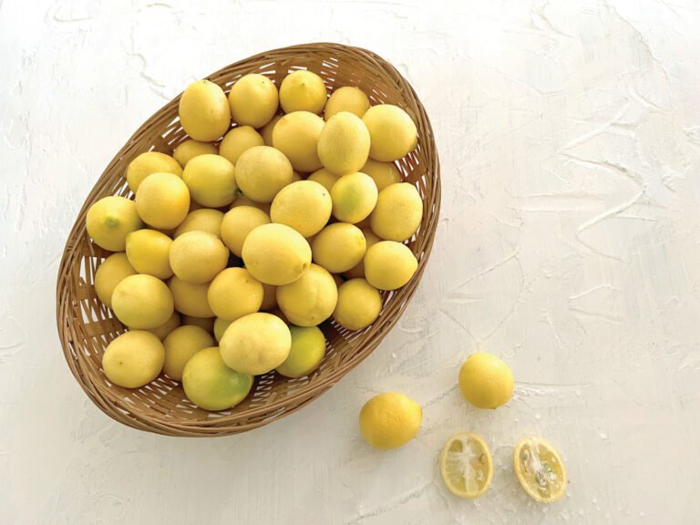 כשהחיים נותנים לך לימונים – תעשה מהם כבושים וממרחים 955248.jpeg