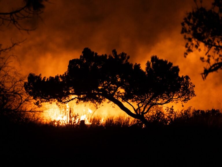 Afp 20250114 36tq3ld V1 Highres Majorwildfiresragearoundlosangeles 1736849344.jpg