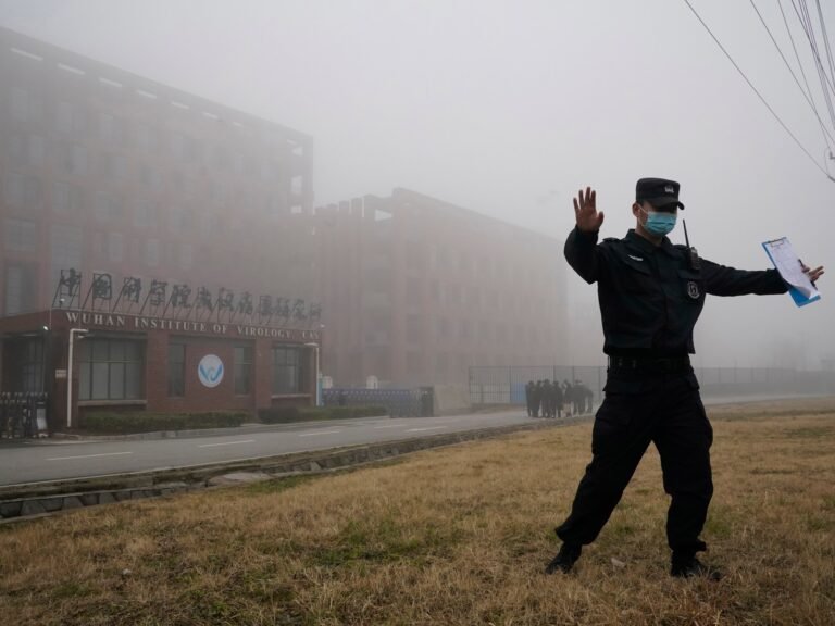 Ap25025721665205 1737946845.jpg