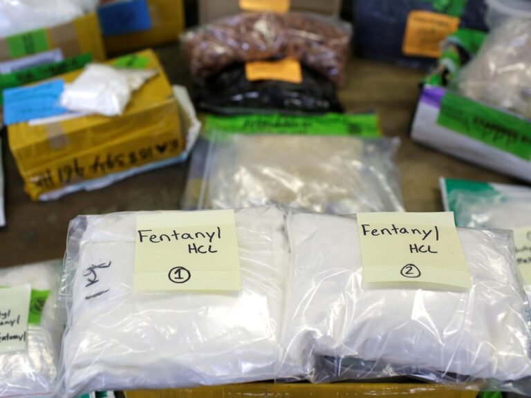 2018 07 11t201137z 1213738156 Rc1a1d1a37d0 Rtrmadp 3 Usa Opioids Fentanyl 1706615907.jpg