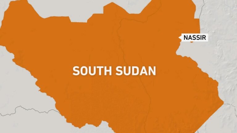 Webmap South Sudan Nassir 1000x562 1739875930.jpg