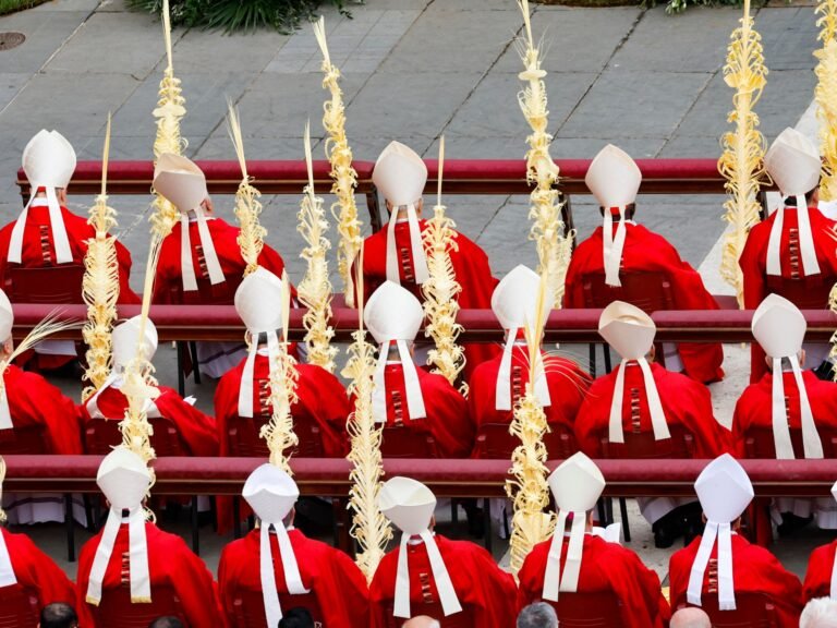 12966256 1745304270.jpg