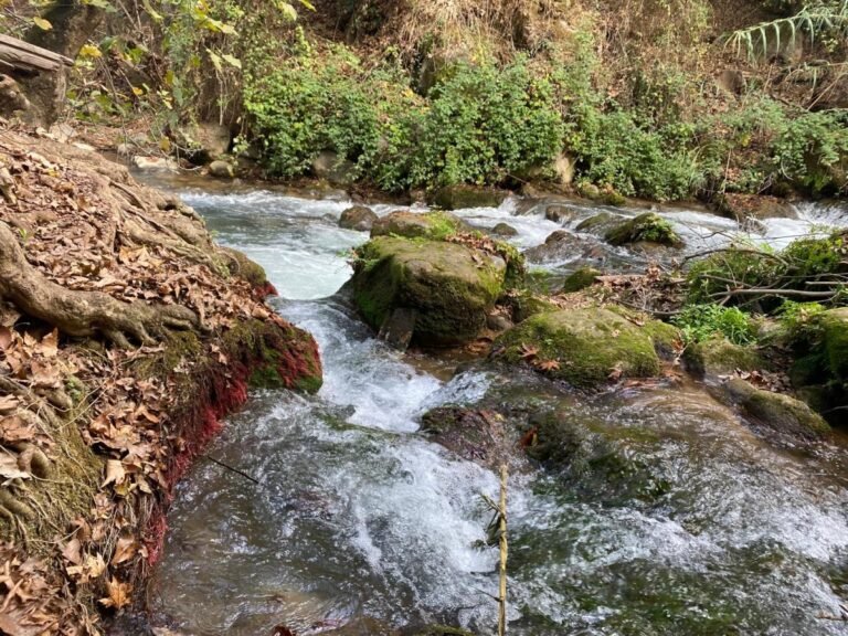 בשורה למטיילי פסח: מסלול הטנק הסורי בבניאס נפתח מחדש 974613.jpeg
