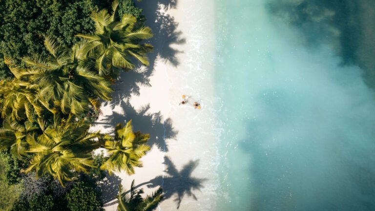 החל מ-1 באוגוסט: ספיריט הפקות עולם מחזירה את אייר סיישל לישראל 960541.jpeg