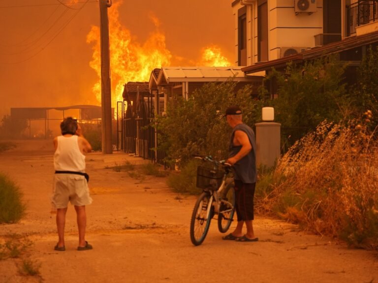 Aa 20250629 38421284 38421282 wildfires in turkiyes izmir 1751267983.jpg