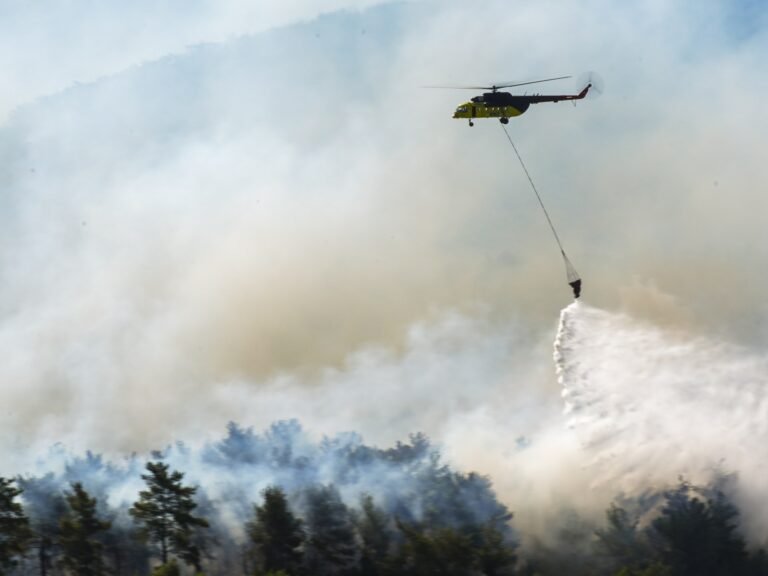 Aa 20250630 38425274 38425262 firefighting efforts continue in forest fires in izmirs menderes district 1751272290.jpg