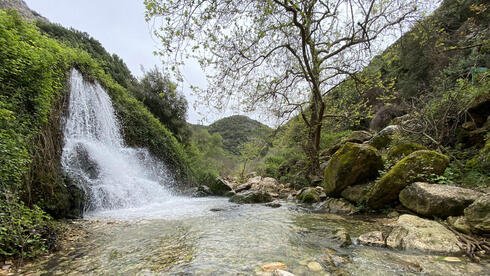 מסלולי המים הכי מרעננים לשבועות Bjysqytqq2 0 0 1008 568 0 large.jpg