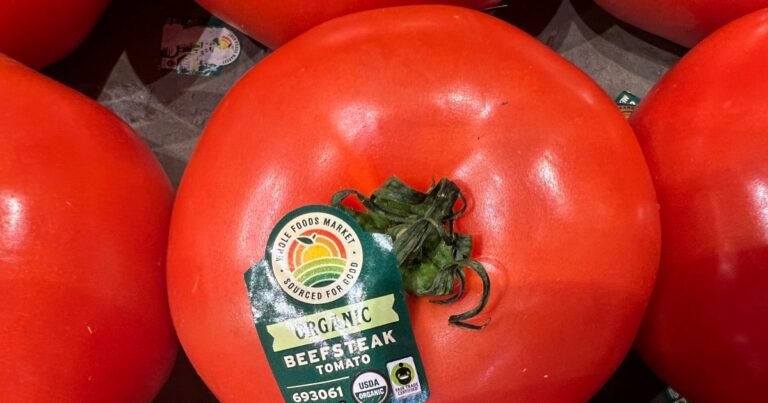 טראמפ סטירה של 17 אחוזים על עגבניות ממקסיקו | מלחמת סחר Ap25195749083855 1752542234 9e8ea2 1752542731.jpg