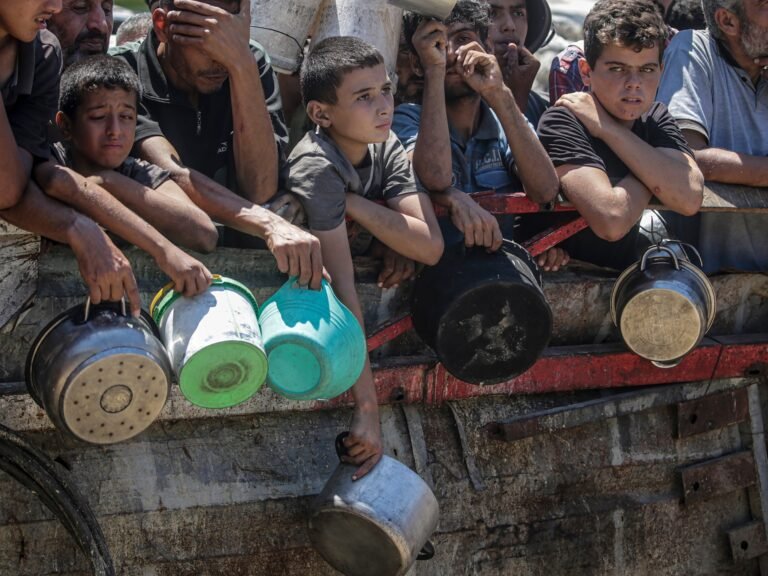 13242027 1754389709.jpg