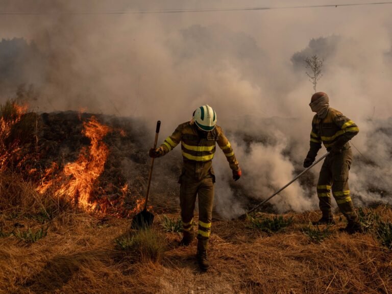 13272809 1755707290.jpg