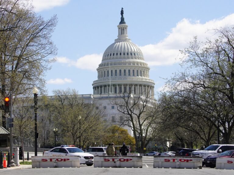 2021 04 02t200319z 891322528 rc2vnm90gwy9 rtrmadp 3 usa capitol security.jpg