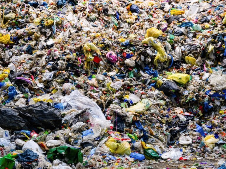 2025 08 12t134618z 713056153 rc2p5gakl00k rtrmadp 3 un plastic germany 1755250862.jpg