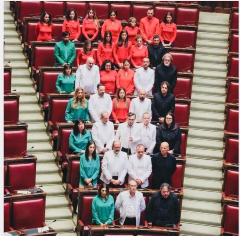 חבל שאי אפשר ללכת ערומים: אסור להניף דגל פלסטין בפרלמנט האיטלקי? אז נלבש אותו 998124.jpeg