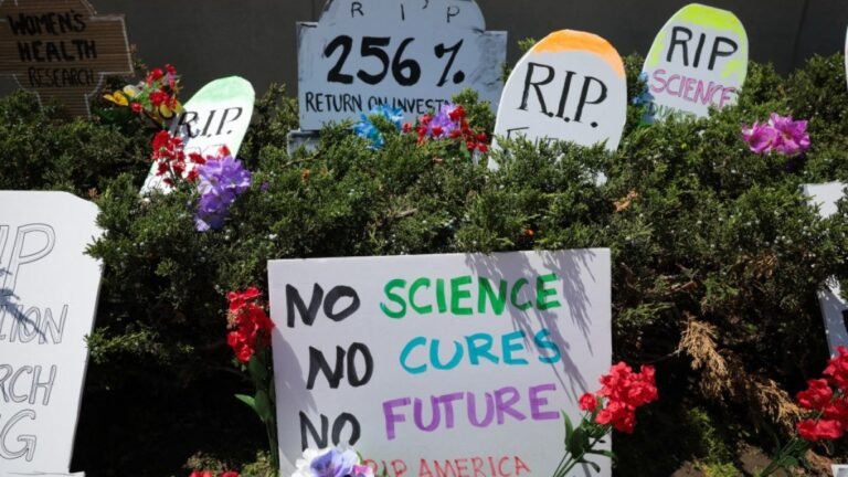 כללי בית המשפט העליון בארה"ב טראמפ מנהל יכול לקצץ כמעט 800 מיליון דולר במימון הבריאות | חדשות דונלד טראמפ Afp 20250510 2214393876 v3 midres senangelaalsobrooksleadsarallyagainstthecurre 1755811808.jpg