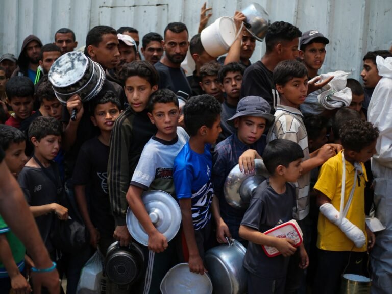 העולם מגיב כגוף שאינו מגובה מכריז על רעב בעזה | חדשות סכסוך ישראל-פלסטין Afp 20250602 48w76g3 v1 highres palestinianisraelconflictaid 1750403257.jpg