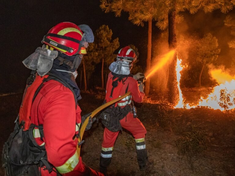 שריפות בר נלהבות בחלקים של אירופה כשלהיטי גלי חום | חדשות משבר אקלים Afp 20250731 68eb39e v1 highres spainenvironmentfire 1754928154.jpg