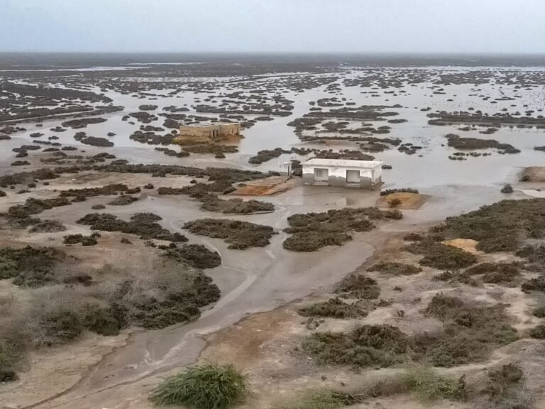 'מים הקיפו אותנו': מותם האיטי של דלתא האינדוס של פקיסטן | חדשות משבר אקלים Afp 20250805 67um2zt v1 highres pakistanclimateindusdelta 1754379616.jpg