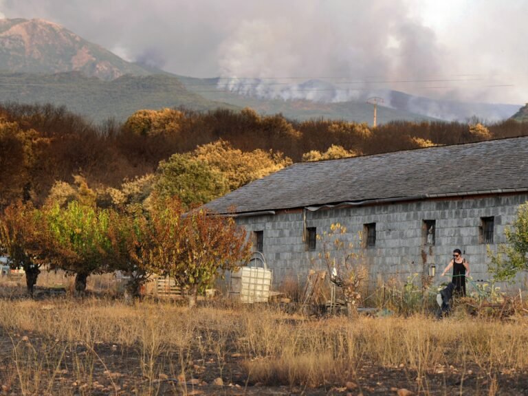 שריפות בר בספרד הורגות אדם אחד כאלפים שנאלצים לברוח | חדשות סביבה Afp 20250811 69ax7xv v1 highres 1754990920.jpg