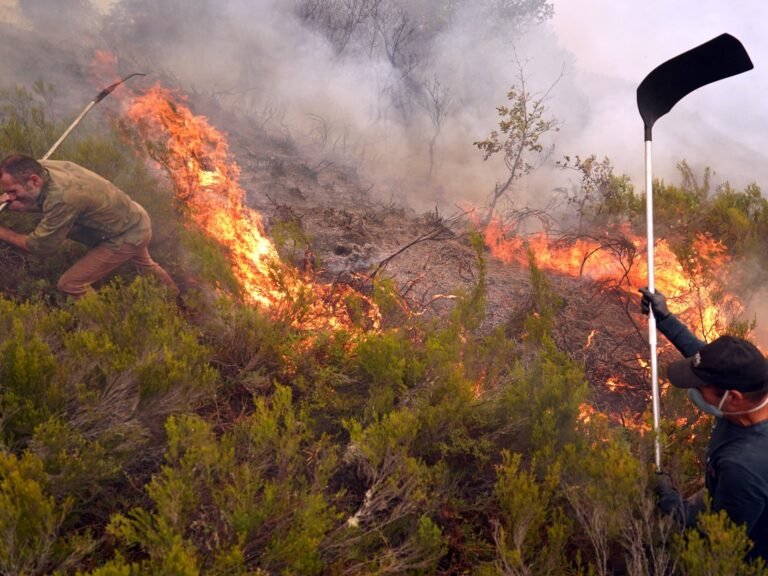 Afp 20250824 72ca363 v1 highres filesspainclimateweatherheatwave 1756069647.jpg