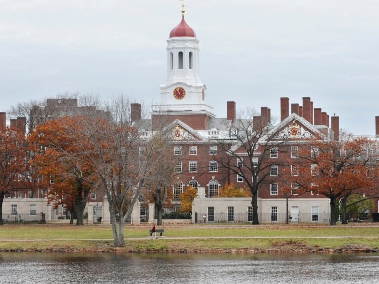 Ap24102671948492 1754588332.jpg