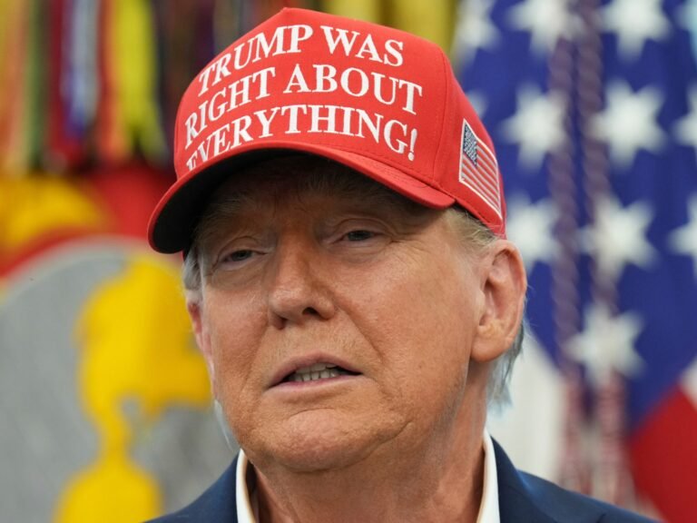 שיקגו 'יהיה הבא': טראמפ מקניט את הרחבת החיילים בערים בהובלת דמוקרט | חדשות דונלד טראמפ Ap25234634835762 1755887597.jpg