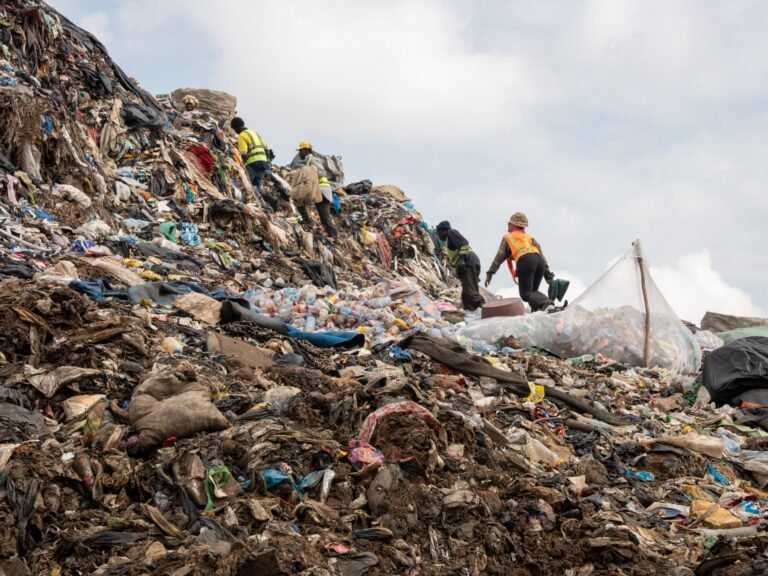 נקודות זכות פלסטיות: 'פיתרון שווא' או התשובה לפסולת פלסטיק עולמית? | חדשות סביבה Dsc07505 1754390110.jpg