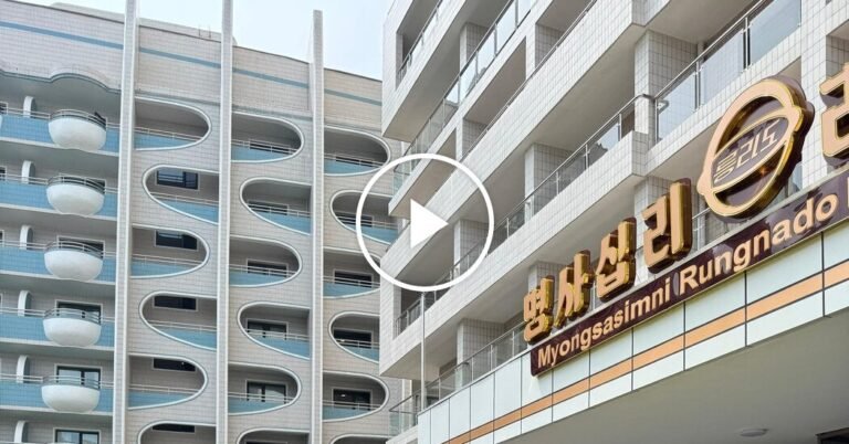 Whatsapp image 2025 08 01 at 17 facebookjumbo.jpg